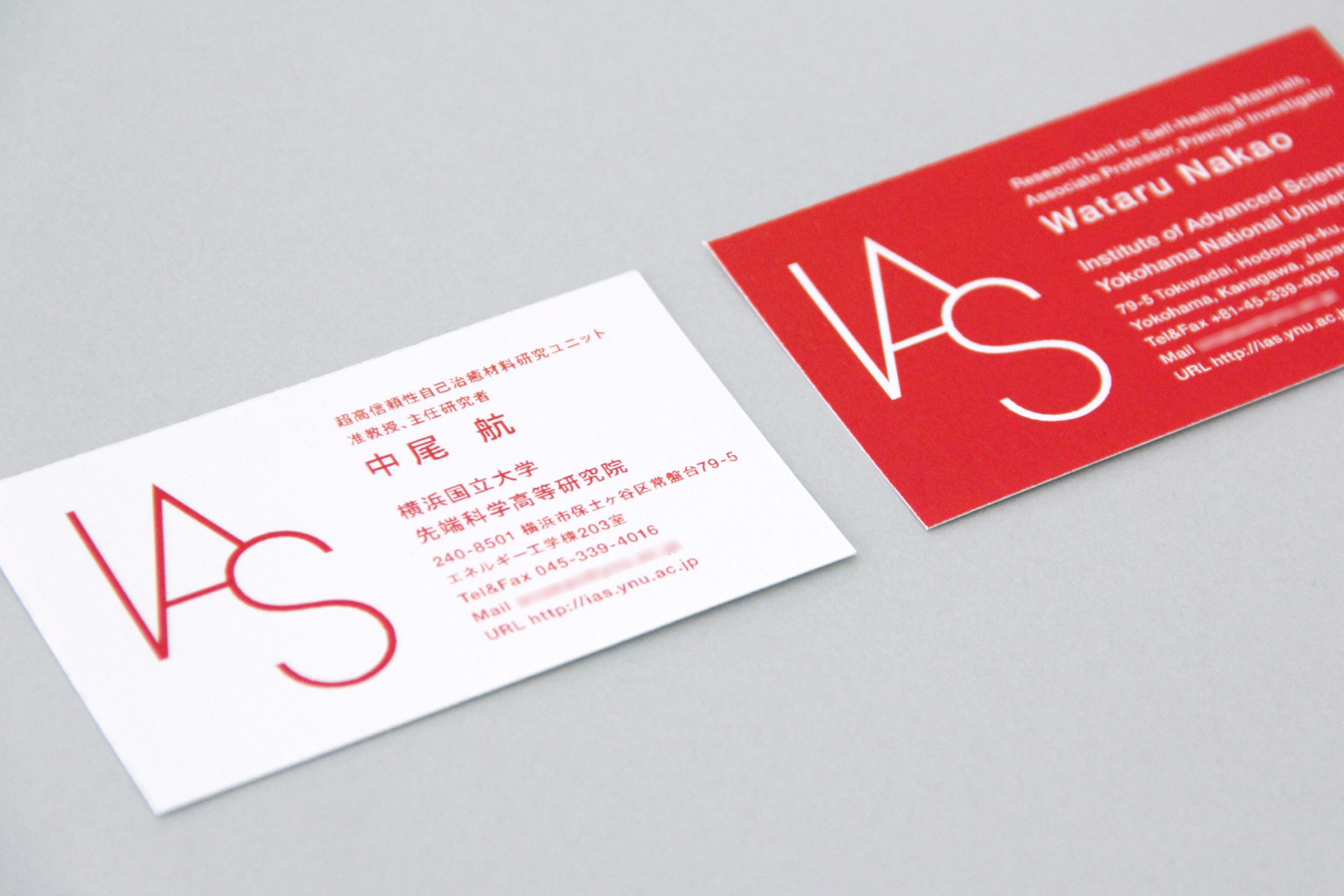 Institute of Advanced Sciences, Yokohama National University